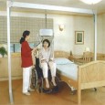 ダンホイスト